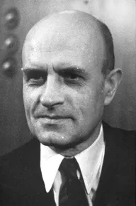 Мирко Елюшич