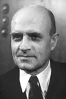 Мирко Елюшич
