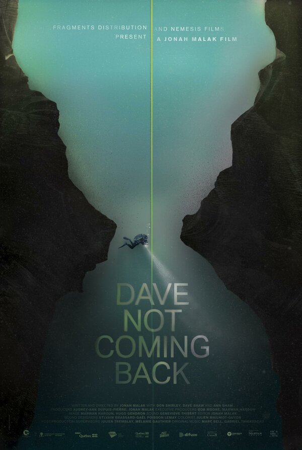 Постер фильма Dave Not Coming Back