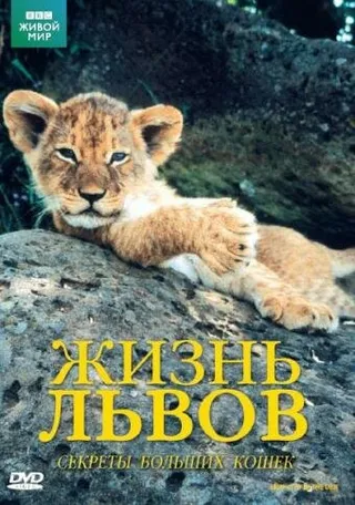 Постер BBC: Жизнь львов (2000)