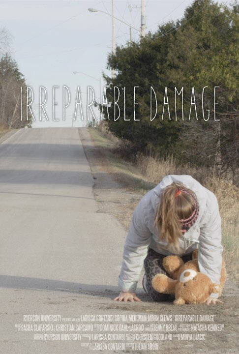 Постер фильма Irreparable Damage