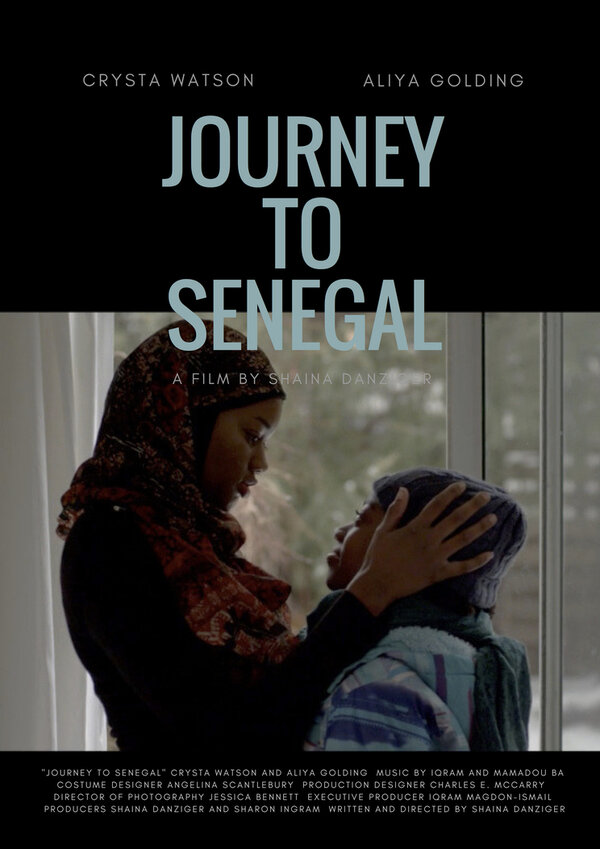 Постер фильма Journey to Senegal