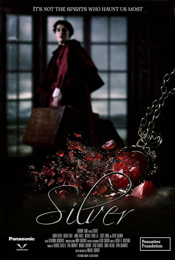 Постер фильма Silver