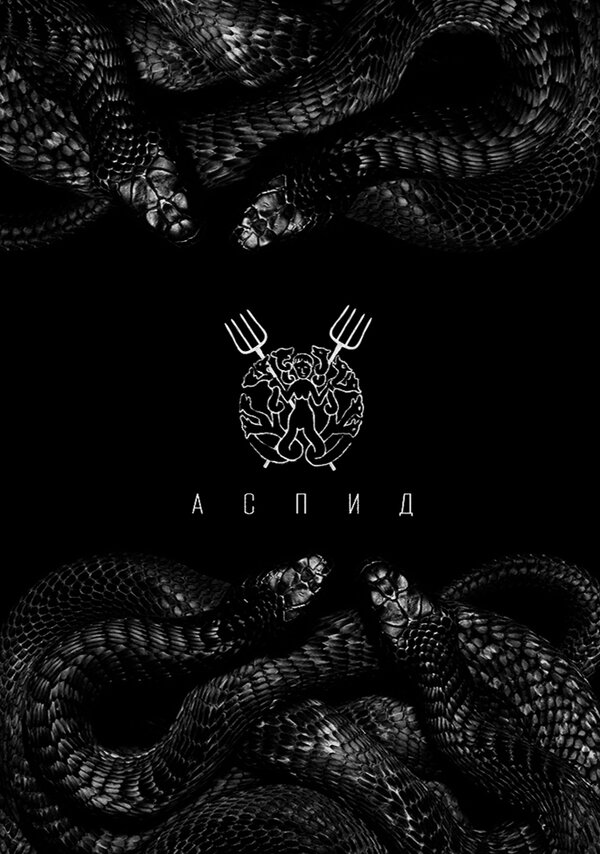 Постер фильма Аспид