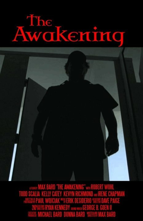 Постер фильма The Awakening