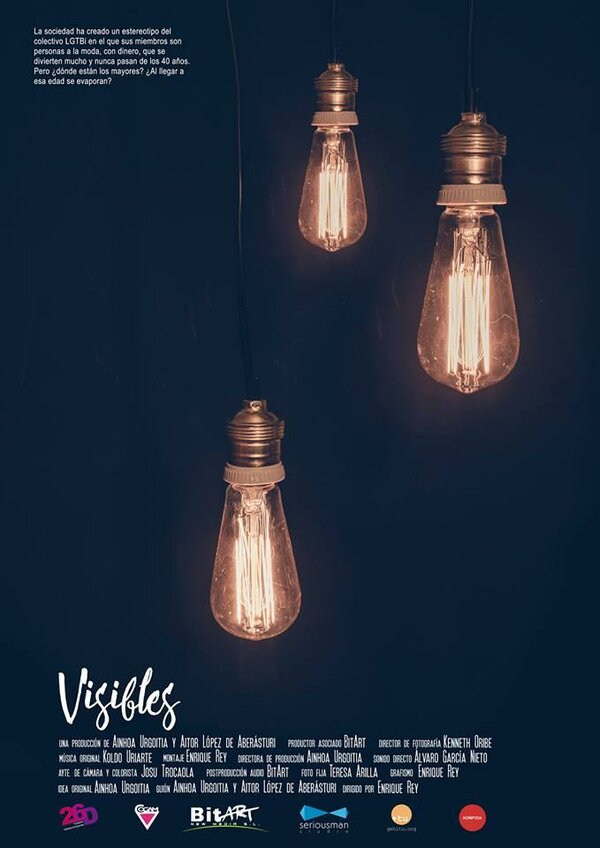Постер фильма Visibles