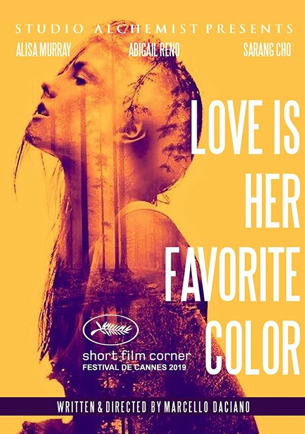 Постер фильма Love is her favorite color