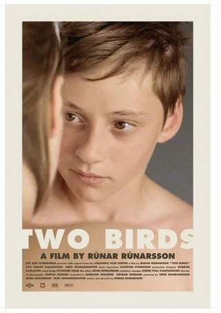 Постер Две птицы (2008)