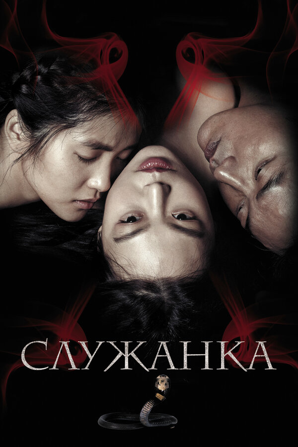 Постер фильма Служанка