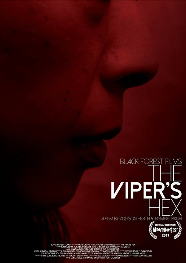 Постер фильма The Viper's Hex