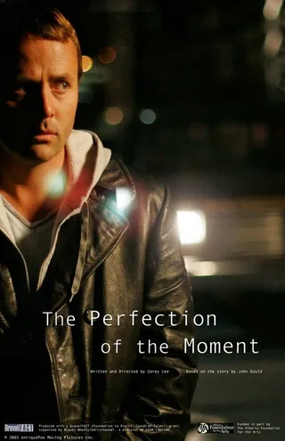 Постер The Perfection of the Moment (2006)