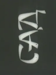 Сад
