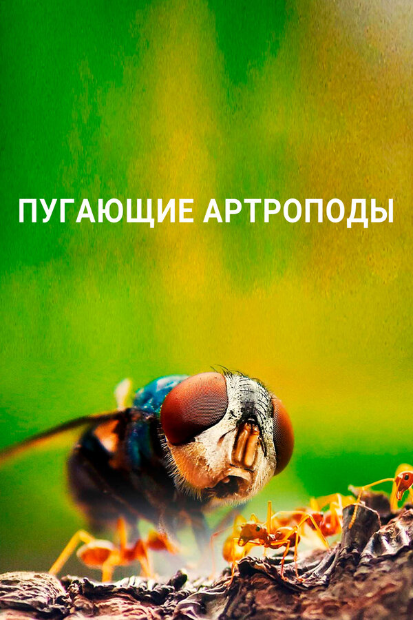 Постер сериала Пугающие артроподы