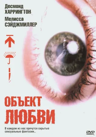 Постер Объект любви (2003)