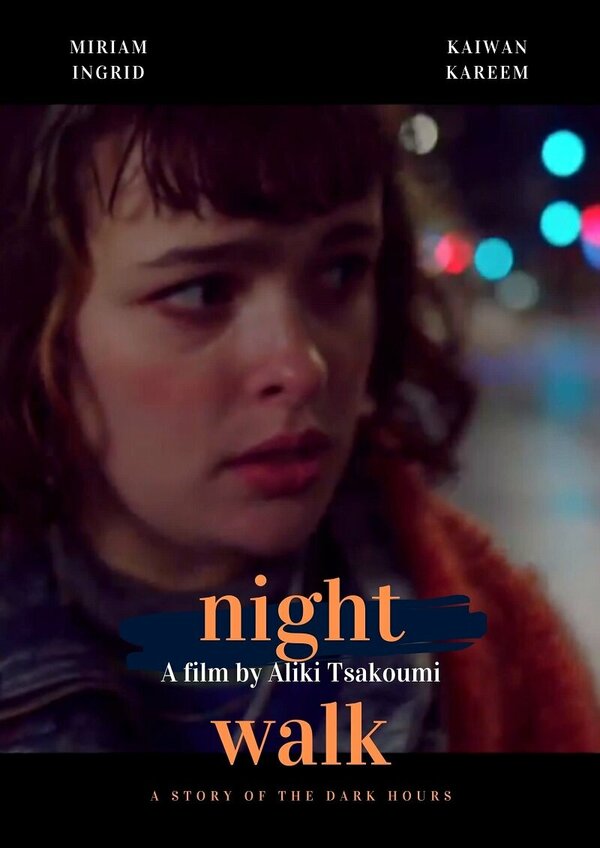 Постер фильма Night Walk