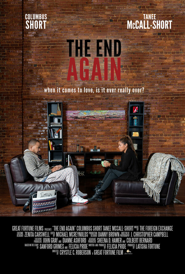 Постер фильма The End Again