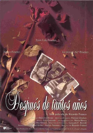Постер Después de tantos años (1994)