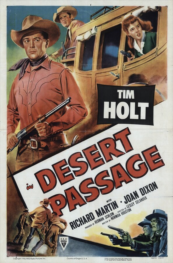 Постер фильма Desert Passage