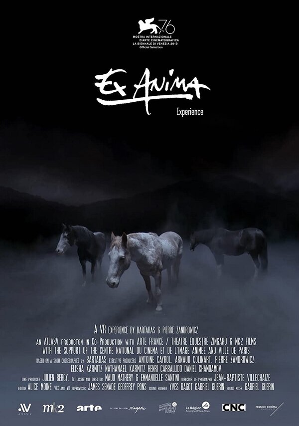 Постер фильма Ex Anima Experience