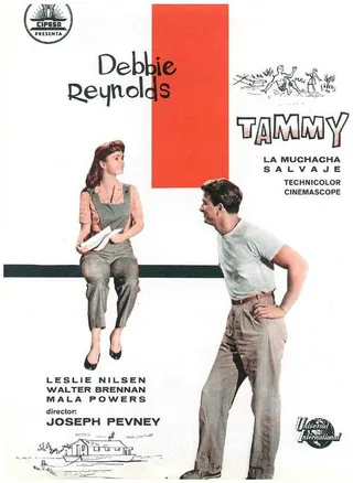 Постер Тэмми и холостяк (1957)