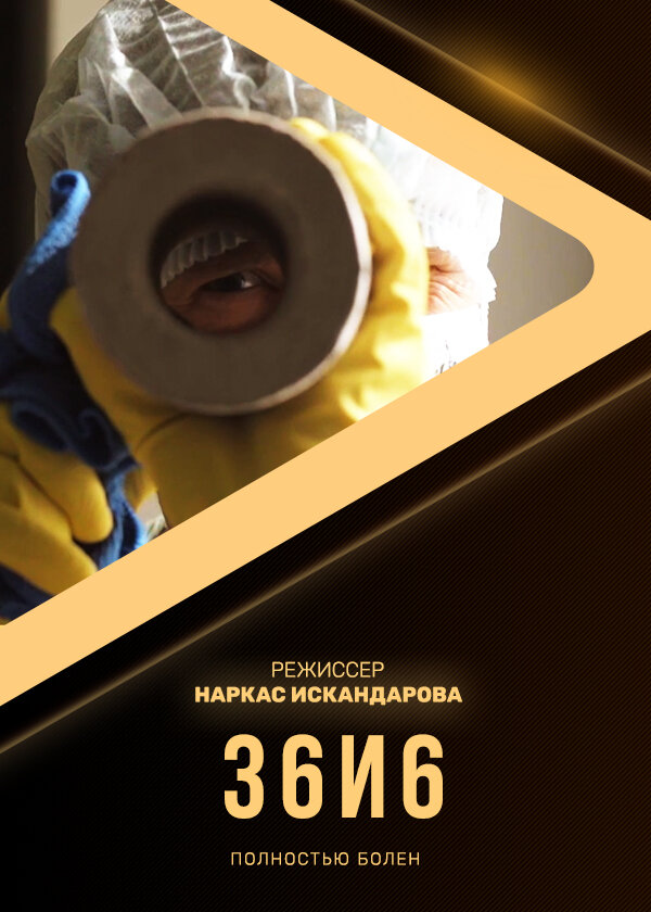 Постер фильма 36и6