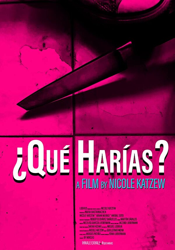Постер фильма ¿Qué Harías?