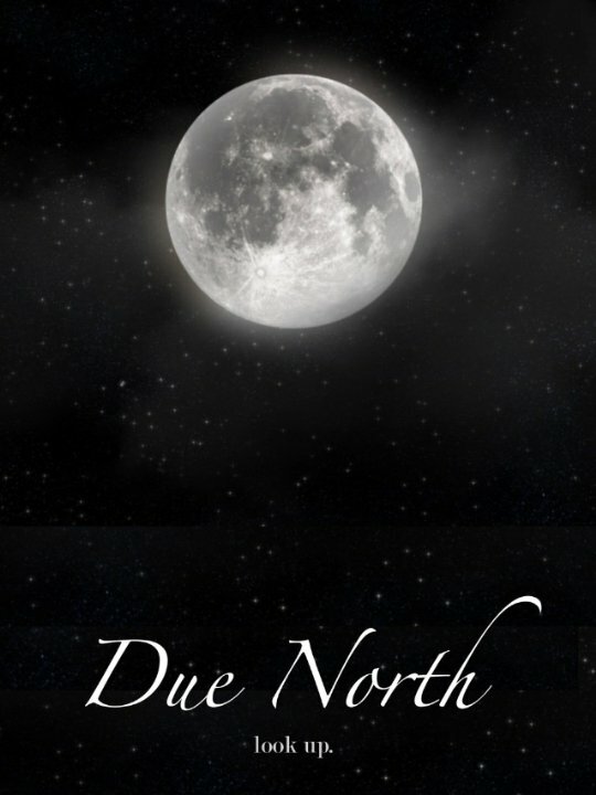 Постер фильма Due North
