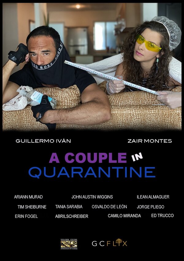 Постер сериала A Couple in Quarantine