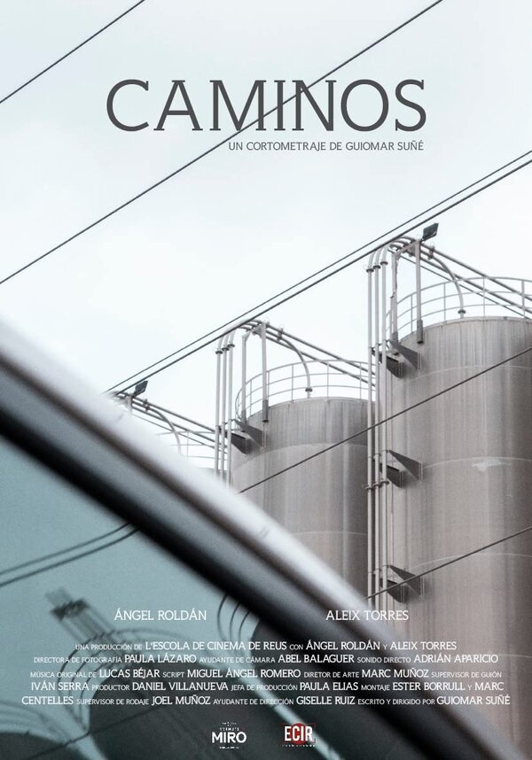 Постер фильма Caminos