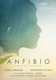 Амфибия