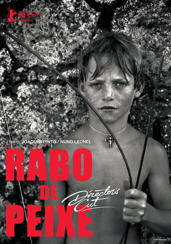 Постер фильма Rabo de Peixe