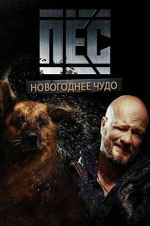 Постер Пёс. Новогоднее чудо (2018)