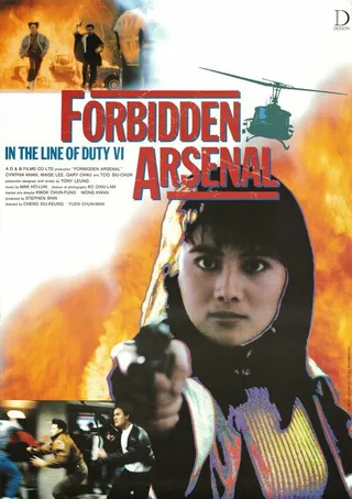 Постер При исполнении 6: Тайный арсенал (1991)