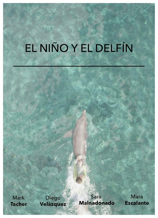 Постер фильма El Niño y El Delfín