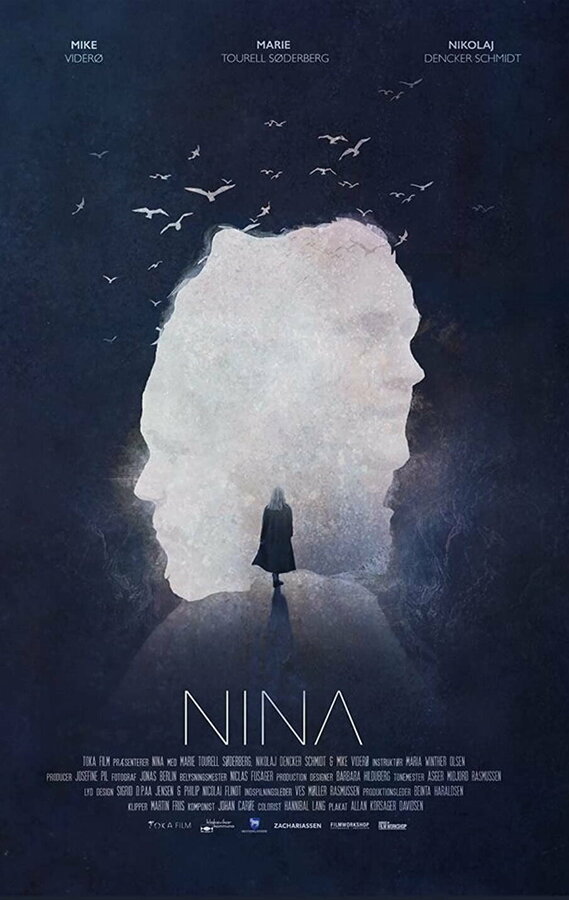 Постер фильма Nina