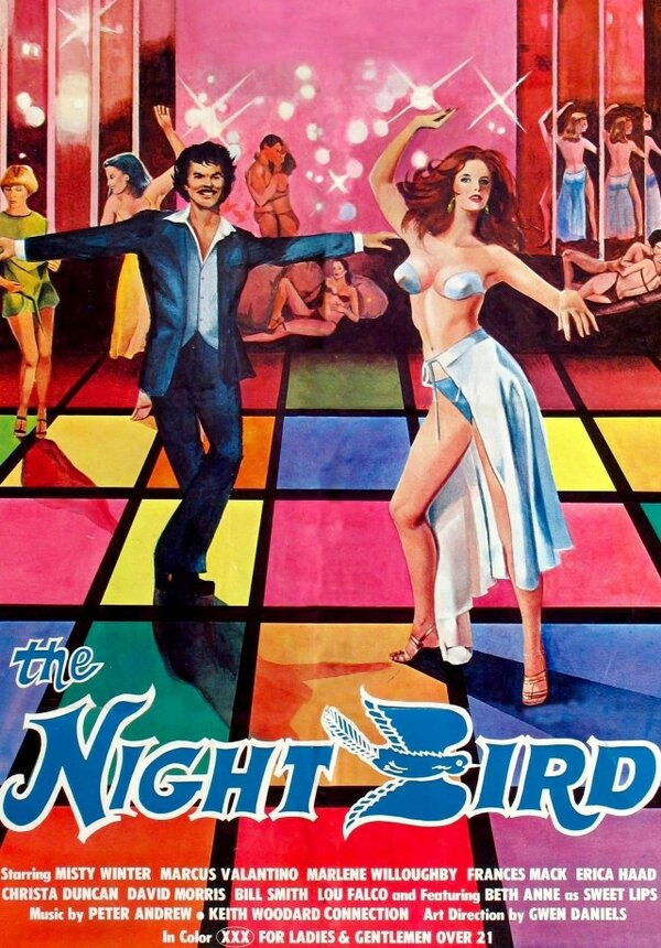 Постер фильма The Night Bird