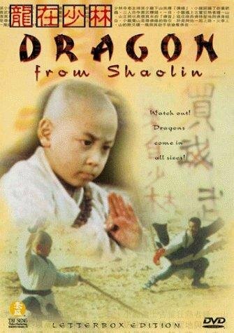 Постер фильма Long zai Shaolin