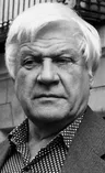 Игорь Владимиров
