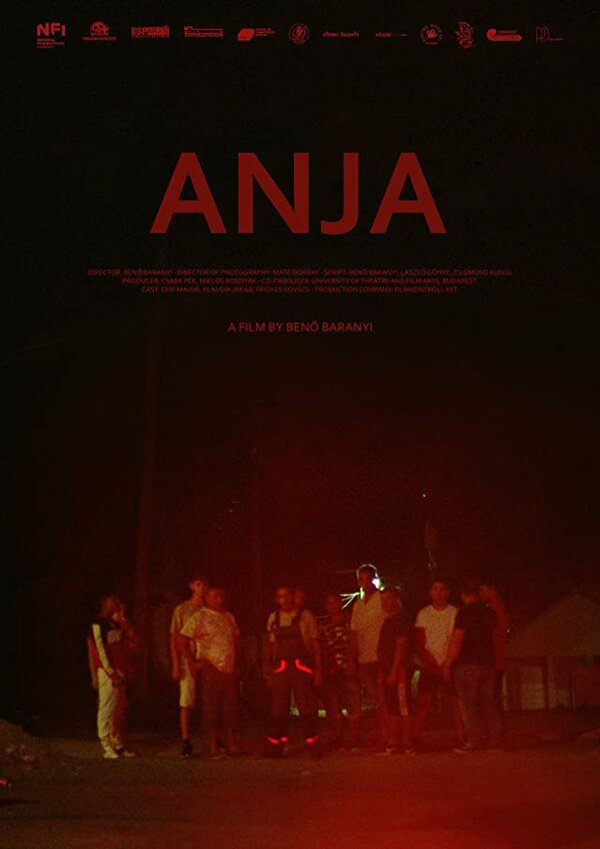 Постер фильма Anja