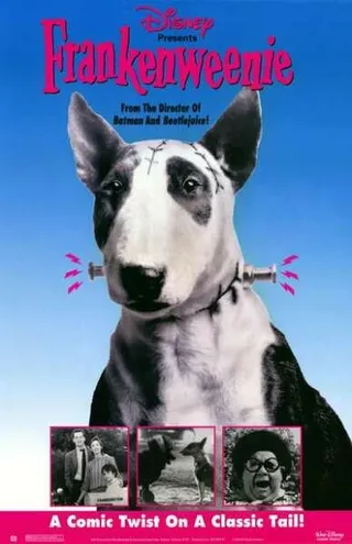 Постер Франкенвини (1984)