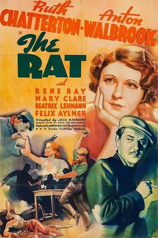 Постер Крыса (1937)