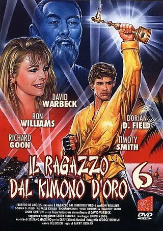 Постер Золотое кимоно воина 6 (1993)