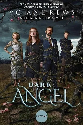 Постер Тёмный ангел (2019)