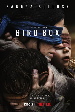 Постер Птичий короб (2018)