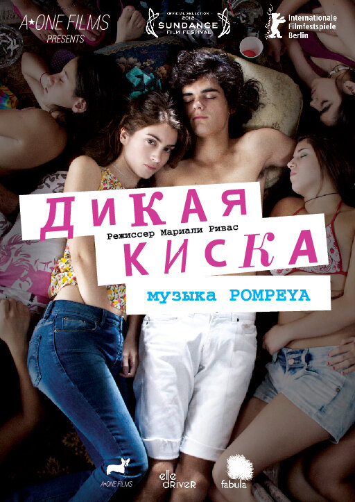 Постер фильма Дикая киска