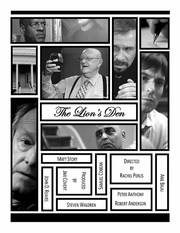 Постер фильма The Lion's Den