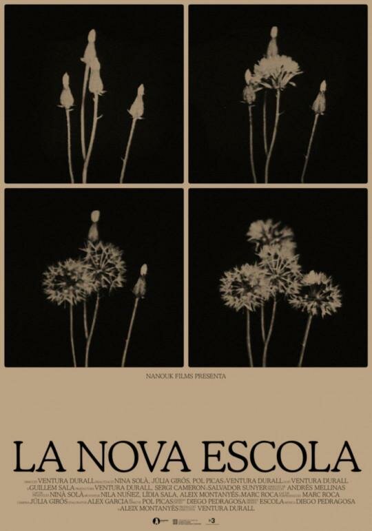 Постер фильма La nova escola