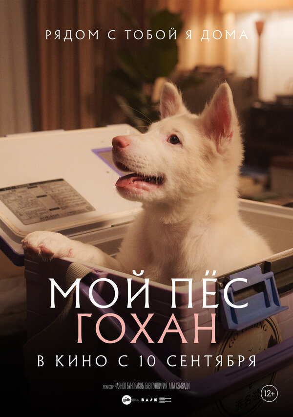 Постер фильма Мой пёс Гохан