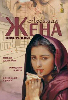 Постер фильма Любимая жена