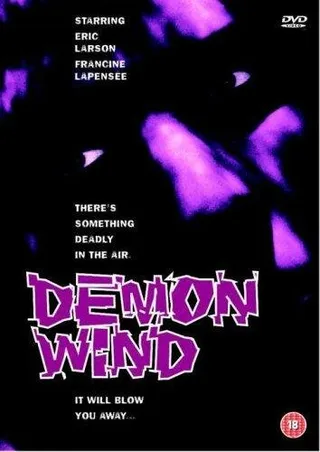 Постер Ветер демонов (1990)
